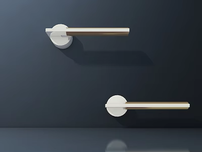 Two Modern Door Handles with Sleek Metallic Finish on Dark Background Wall 3d model