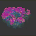 Green Plant with Slender Stems and Small Round Buds Clustered in Dark Background with Reflection