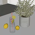 Fresh Lemon Drinks in Glass Jars with Straws Lemon Slices Green Plants in Gray Pot