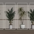 White Room Partitions With Various Geometric Patterns And Indoor Plants 3d model