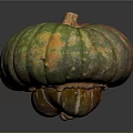 Vibrant Striped Pumpkin With Green Orange Red Hues And Brown Stem