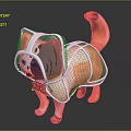 Cat Wearing Protective Headgear And Body Cover For Pet Safety
