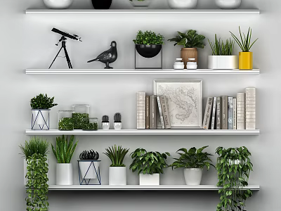 Bonsai and Potted Plants on White Shelves with Decorative Items Various Pots Greenery and Succulents 3d model