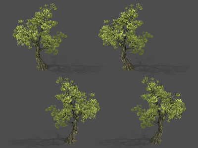Isolated Arbor Tree with Green Leaves and Brown Trunk in Different Perspectives 3d model
