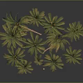 Multiple Palm Trees in Various Sizes with Green Fronds on Gray Background