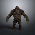 Tall Shaggy Furred Humanoid Creature With Muscular Build In Standing Posture