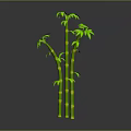 Green Bamboo Plant With Multiple Stalks And Fresh Leaves On Gray Background With Bottom Reflection