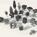 Various Arbor Species With Different Shapes Sizes And 3D Models 3d model
