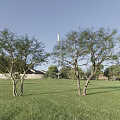 Cluster Trees Landscape Trees Park Trees Good Trees Small Trees 3d model
