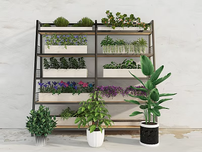 Indoor Bonsai and Potted Plants on Multi tiered Shelf with Various Greenery and Flowers 3d model