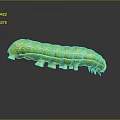 Green Shiny Caterpillar with Segmented Body and Small Legs on Gray Background Showing Clear Reflection