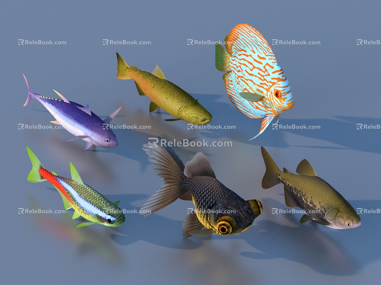 goldfish ornamental fish pet fish koi carp 3d model