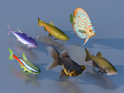 Various Types Of Aquatic Fish With Colorful Patterns And Diverse Features 3d model
