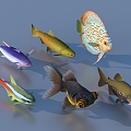 goldfish ornamental fish pet fish koi carp 3d model