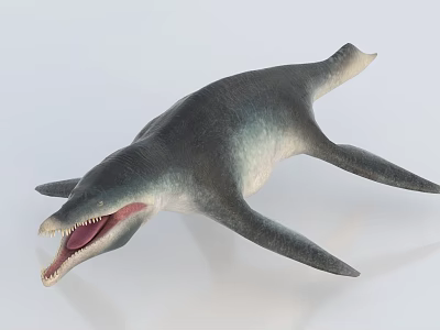 Realistic Prehistoric Reptile Model Displaying Open Mouth Sharp Teeth And Flipper Limbs 3d model