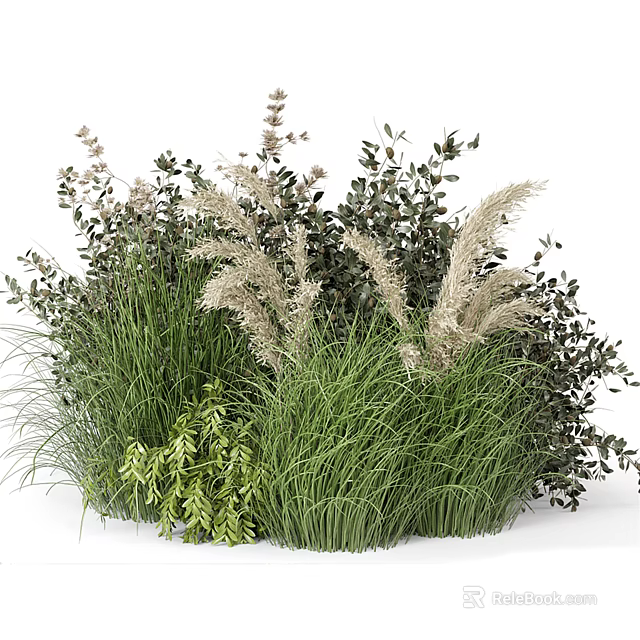 Mixed Garden Plants With Green Foliage White Plumes And Ornamental Grasses 3d model 