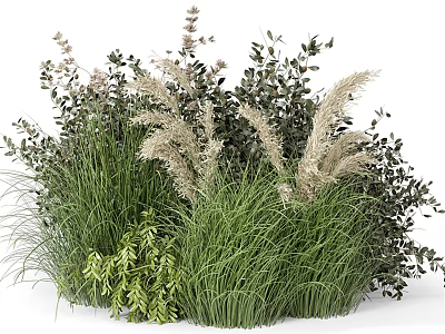 Mixed Garden Plants With Green Foliage White Plumes And Ornamental Grasses 3d model