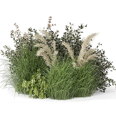 Mixed Garden Plants With Green Foliage White Plumes And Ornamental Grasses 3d model