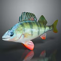 Colorful Striped Fish with Green Yellow Stripes Red Fins on Dark Background with Reflection