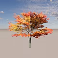 Autumn Arbor with Vibrant Red Orange Yellow Leaves Against Clear Blue Sky