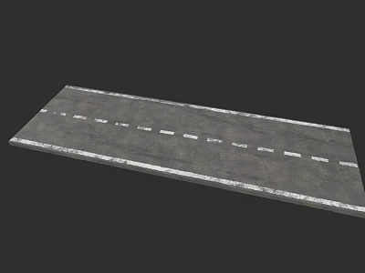 Garden Landscape Design With Concrete Pathway And White Line Markings 3d model