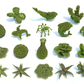 Various Shaped Decorative Garden Bushes With Green Foliage And Different Designs