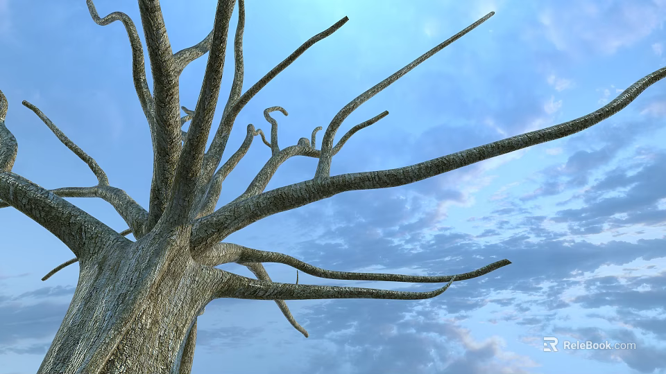 Stone and Wood Textured Leafless Tree Trunk with Bare Branches Against Blue Sky 3d model