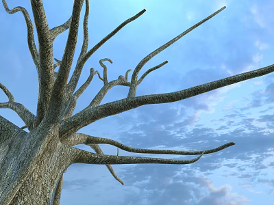 Stone and Wood Textured Leafless Tree Trunk with Bare Branches Against Blue Sky 3d model