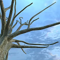 Stone and Wood Textured Leafless Tree Trunk with Bare Branches Against Blue Sky 3d model