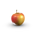 Fresh Red And Yellow Apple With Stem On White Background For Healthy Diet