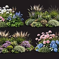 Colorful Plant Combinations With Pink Blue White Flowers And Green Grasses