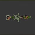 Various Types Of Green Plants In Different Size And Color Pots Against Gray Background
