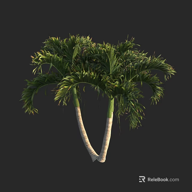 Twin Palm Trees With White Trunks And Lush Green Fronds Against Dark Background 3d model 