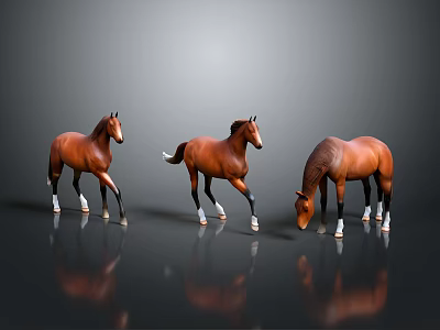 Three Brown Horses Standing On Black Smooth Floor With Gray Background And Different Poses 3d model