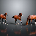 Three Brown Horses Standing On Black Smooth Floor With Gray Background And Different Poses