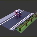 Cyclist Riding On Asphalt Road With Wooden Fence And Green Grass