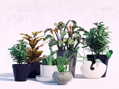 Decorative Potted Bonsai Plants With Various Green Foliage And Different Shaped Ceramic Planters 3d model
