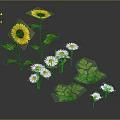 Vibrant Floral Arrangement With Yellow Sunflowers White Flowers And Green Leaves