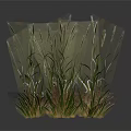 Natural Grass Clumps Landscape Decor Elements With Green And Dry Varieties And Realistic Textures