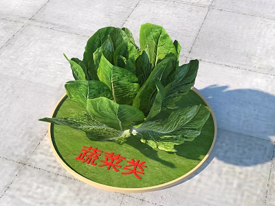 Fresh Green Leafy Vegetables On Round Tray With Vegetable Category Label 3d model