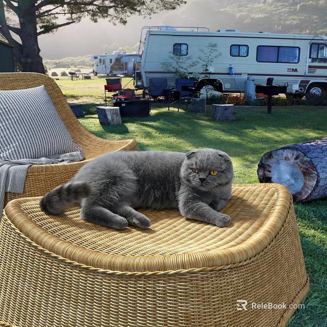 Reptile Lizard Resting On Woven Rattan Stool In Grass Field With Camper 3d model 