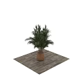 Bonsai Potted Plant Featuring Lush Green Leaves In Woven Basket Planter