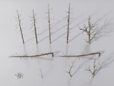 Collection of Dry Dead Tree Branches and Twigs on White Background 3d model