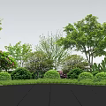 Well Trimmed Shrubs In Lush Garden Landscape With Various Trees And Greenery