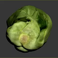 Fresh Green Leafy Vegetable For Healthy Organic Household Daily Use