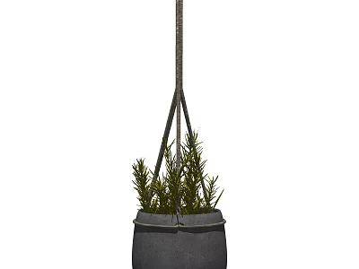 Hanging Green Plants In Gray Pot With Rope Hanger For Home Decoration 3d model