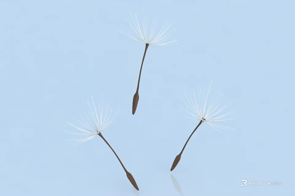 Dandelion Seeds With White Fluffy Tops And Brown Stems On Light Blue Background 3d model 