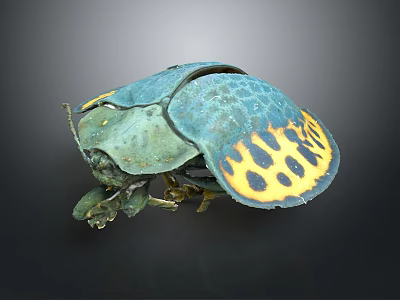 Vibrant Blue and Yellow Beetle with Spotted Shell and Intricate Body Details 3d model