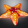 Starfish Shaped Orange Red Food With White Spots And Glossy Surface On Black Background