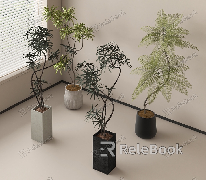 green plant potted plant bonsai plant combination green plant model